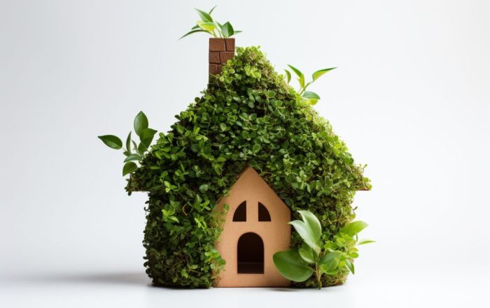 Casa green